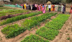 बस्तर के नवाचार देख उत्साहित हुईं बिलासपुर की दीदियाँ, एक्सपोजर विजिट में सीखीं इंटीग्रेटेड फार्मिंग की बारीकियां….